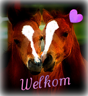 Afbeelding van Angieee.