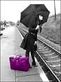 Afbeelding van Michelle01