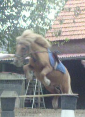 Afbeelding van lovecharlie