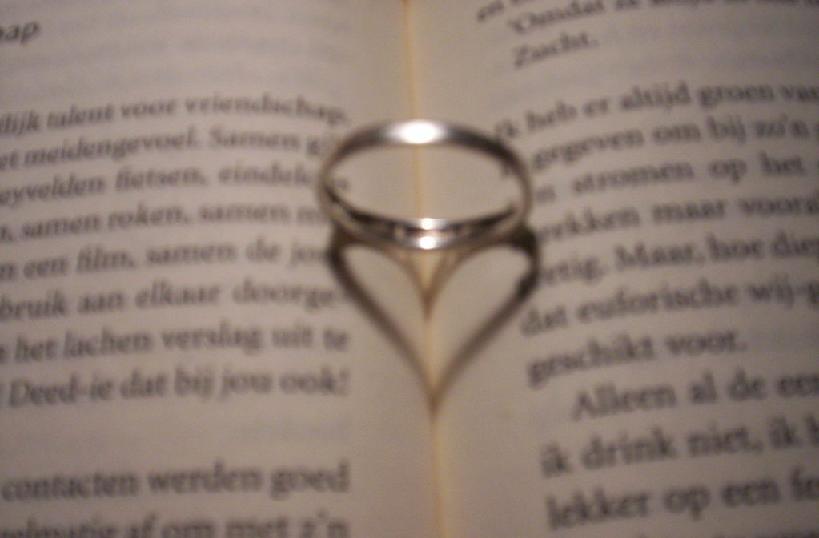 Afbeelding van domino Burgt