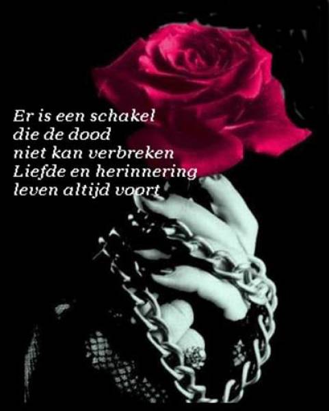 tekst hoop geloof en liefde robert long