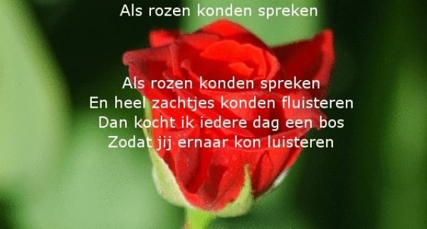 korte gedichten nederlandse dichters