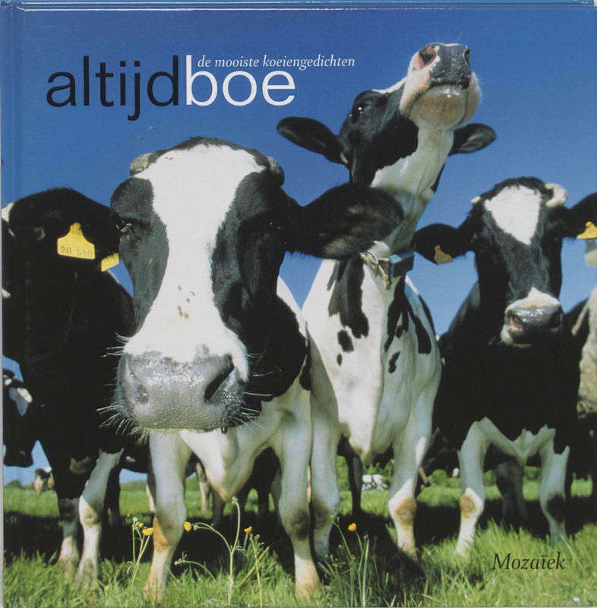 Altijd boe