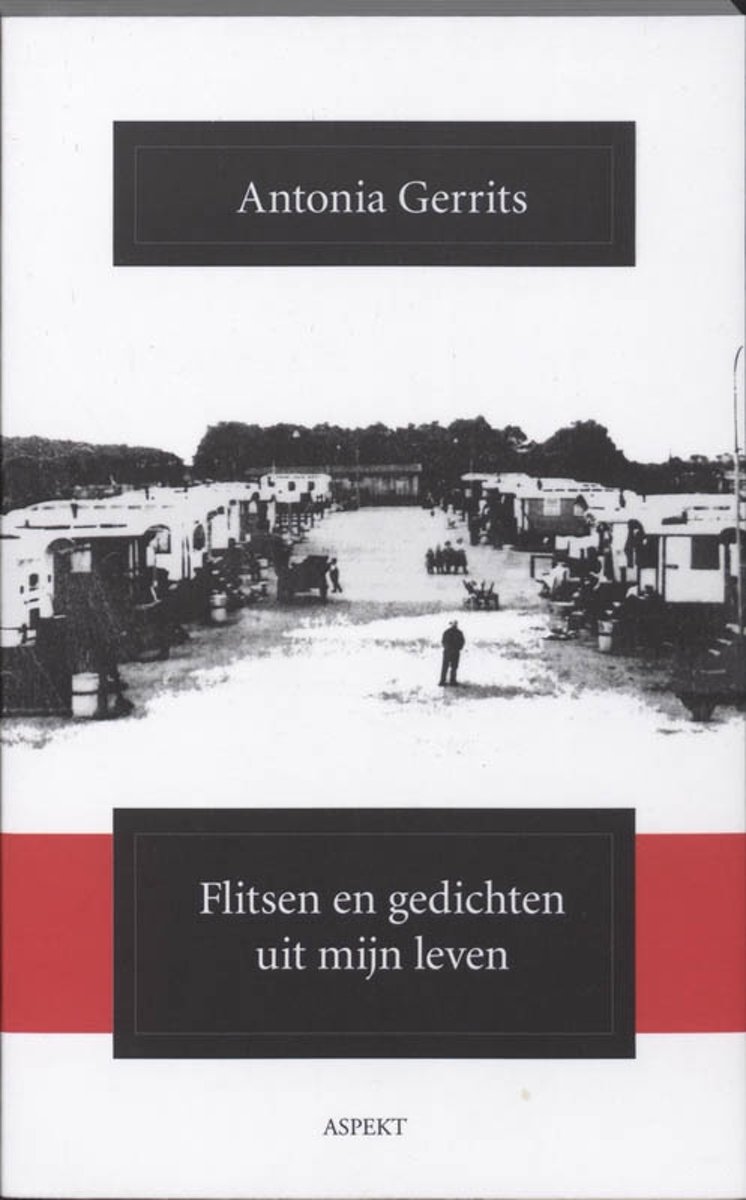 Flitsen en gedichten uit mijn leven